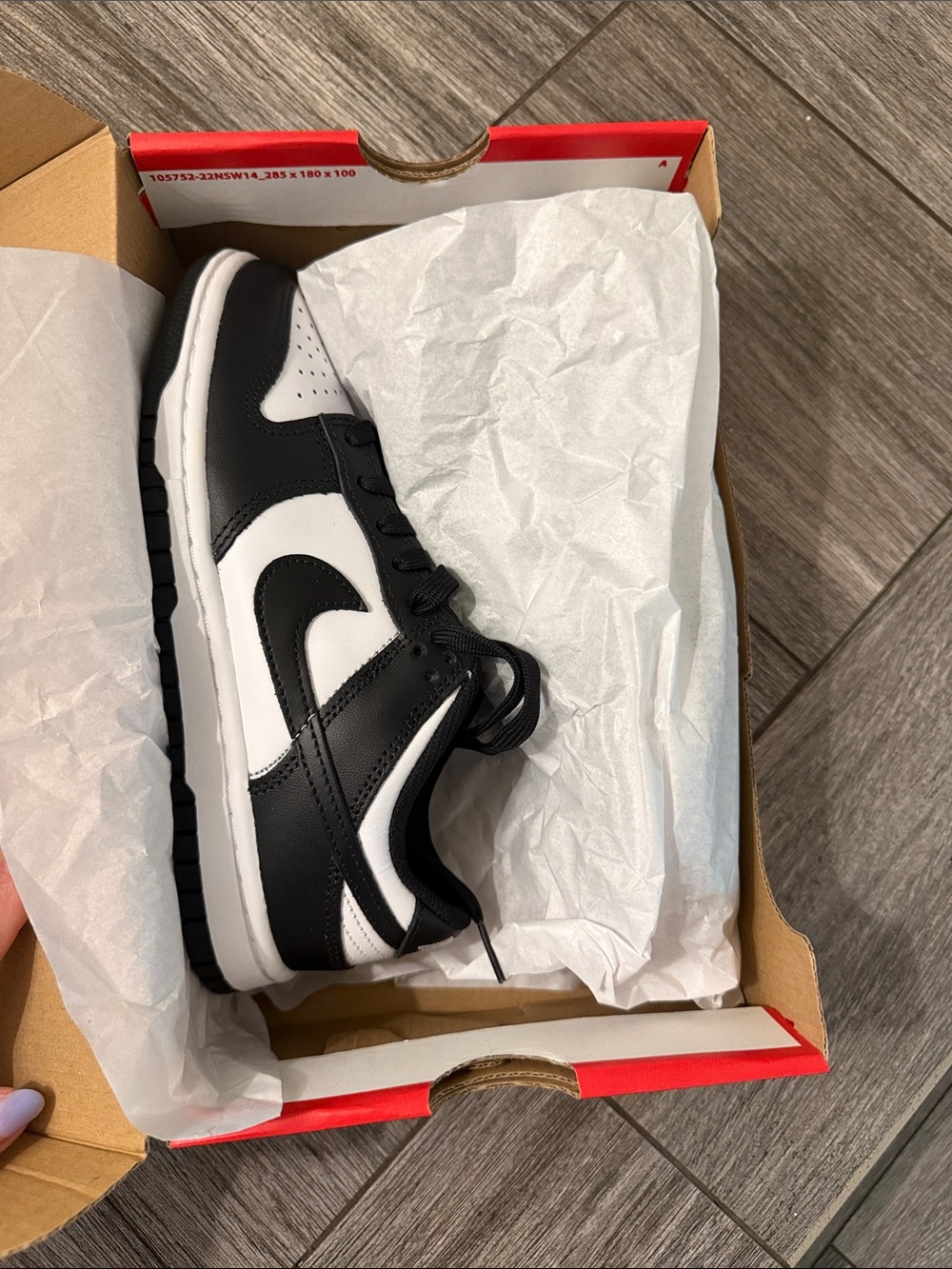 Nike Panda Low Dunks